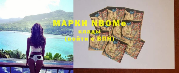 мет Алексин