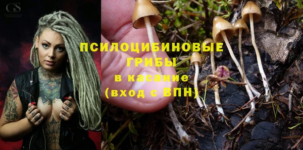 герыч Аркадак