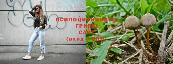 герыч Алзамай