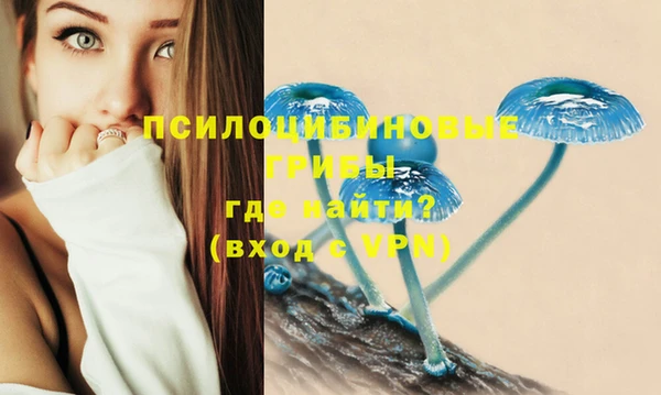 мет Алексин