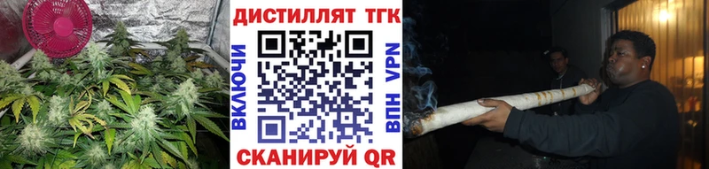 ТГК концентрат  цена   Майкоп 